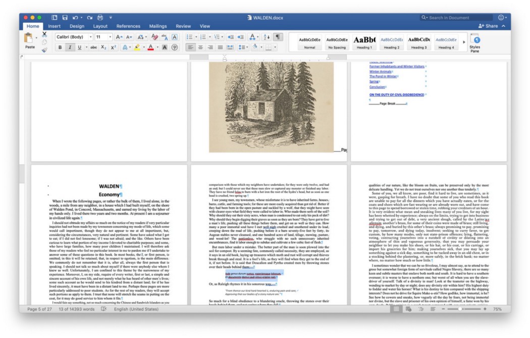 A screen shot of Microsoft Word showing the book “Walden” whose text styling shows multiple defects in font size, weight, etc.